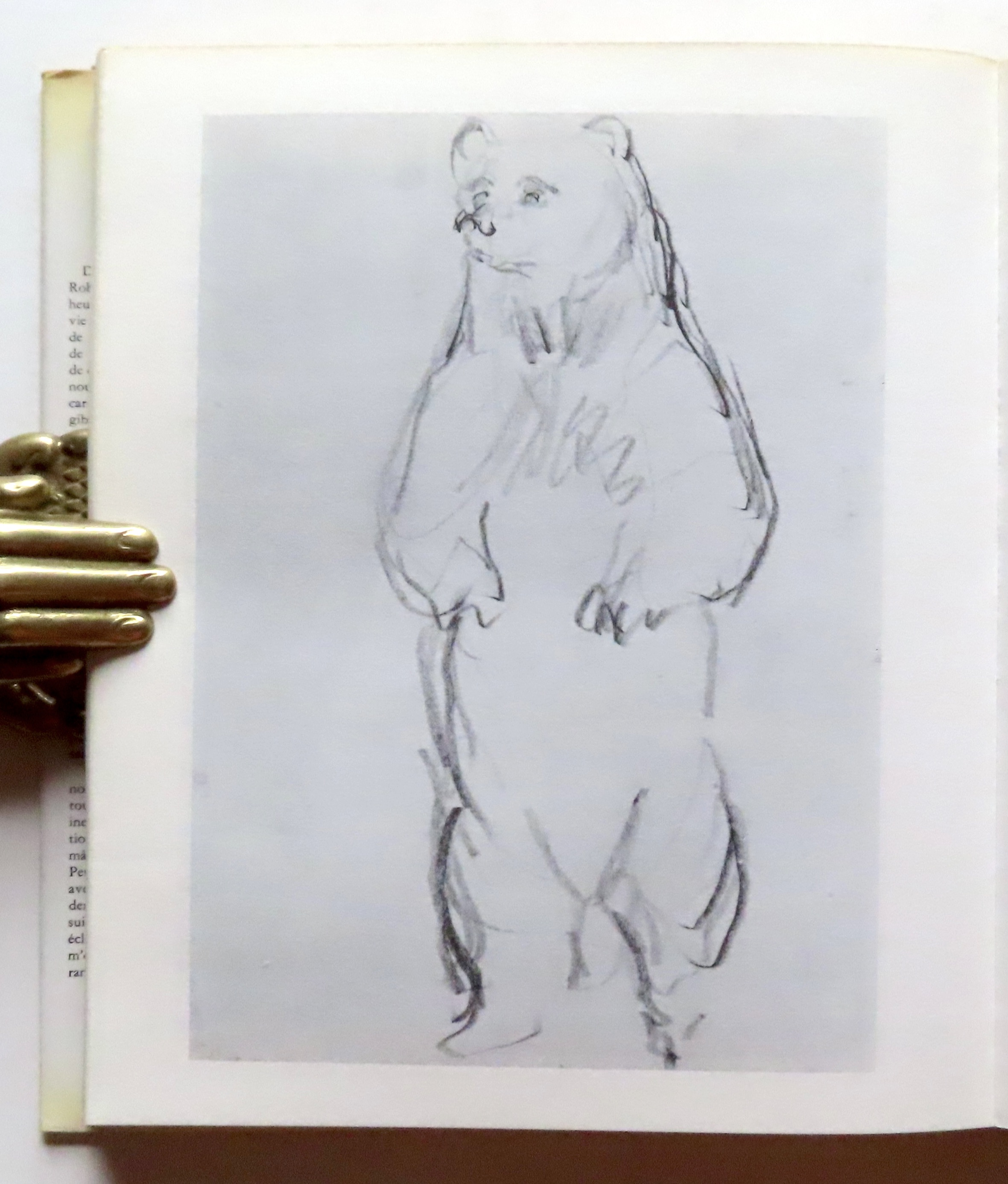 Chasse au crayon. En dessinant les bêtes sauvages. by Hainard Robert:: Très  bon Couverture rigide (1972) | La Bergerie