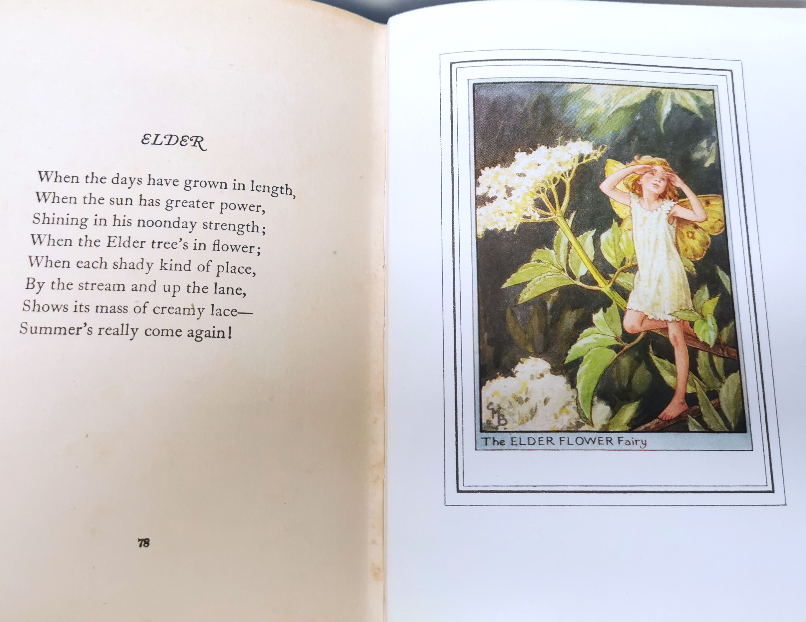 Fairies of the Flowers  Trees by Cicely M Barker: Very Good Hardcover  (1950) 1st Edition VANESSA PARKER RARE BOOKS