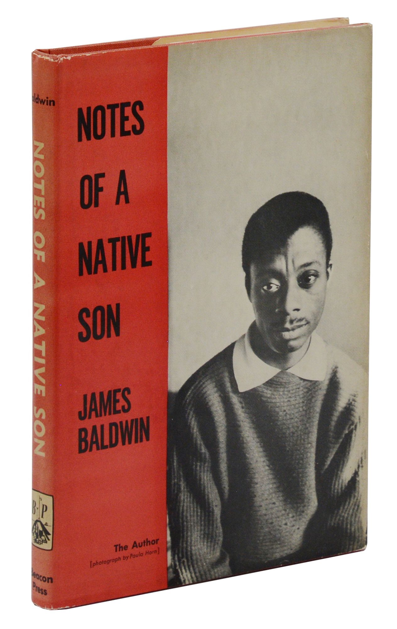 notes of a native son essay pdf