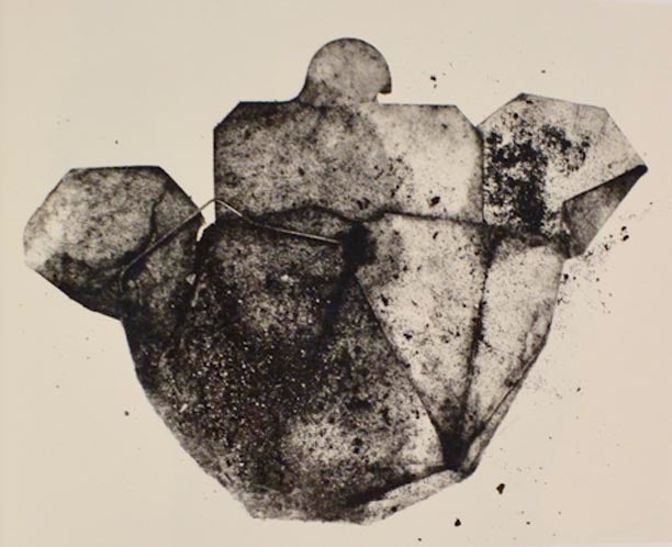 Amazon.com: Irving Penn: Centennial: 9781588396181: Hambourg