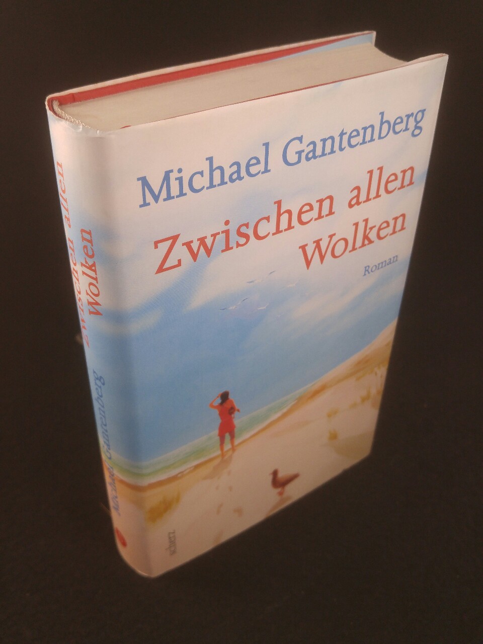 Zwischen allen Wolken Roman - Gantenberg, Michael