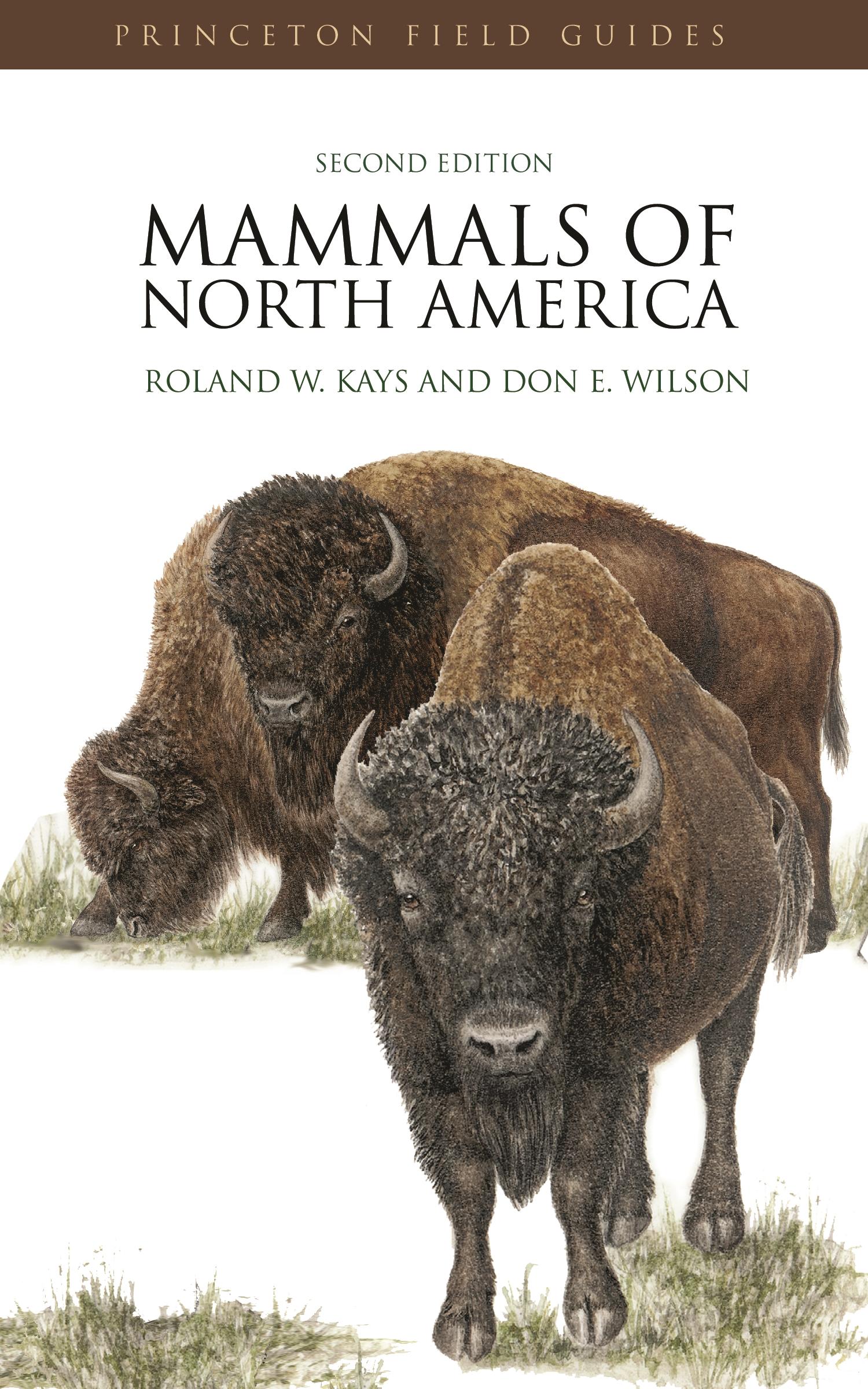 Mammals of North America - Kays, Roland W.|Wilson, Don E.