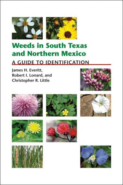 Weeds in South Texas and Northern Mexico: A Guide to Identification - Everitt, James H.|Lonard, Robert|Little, Christopher