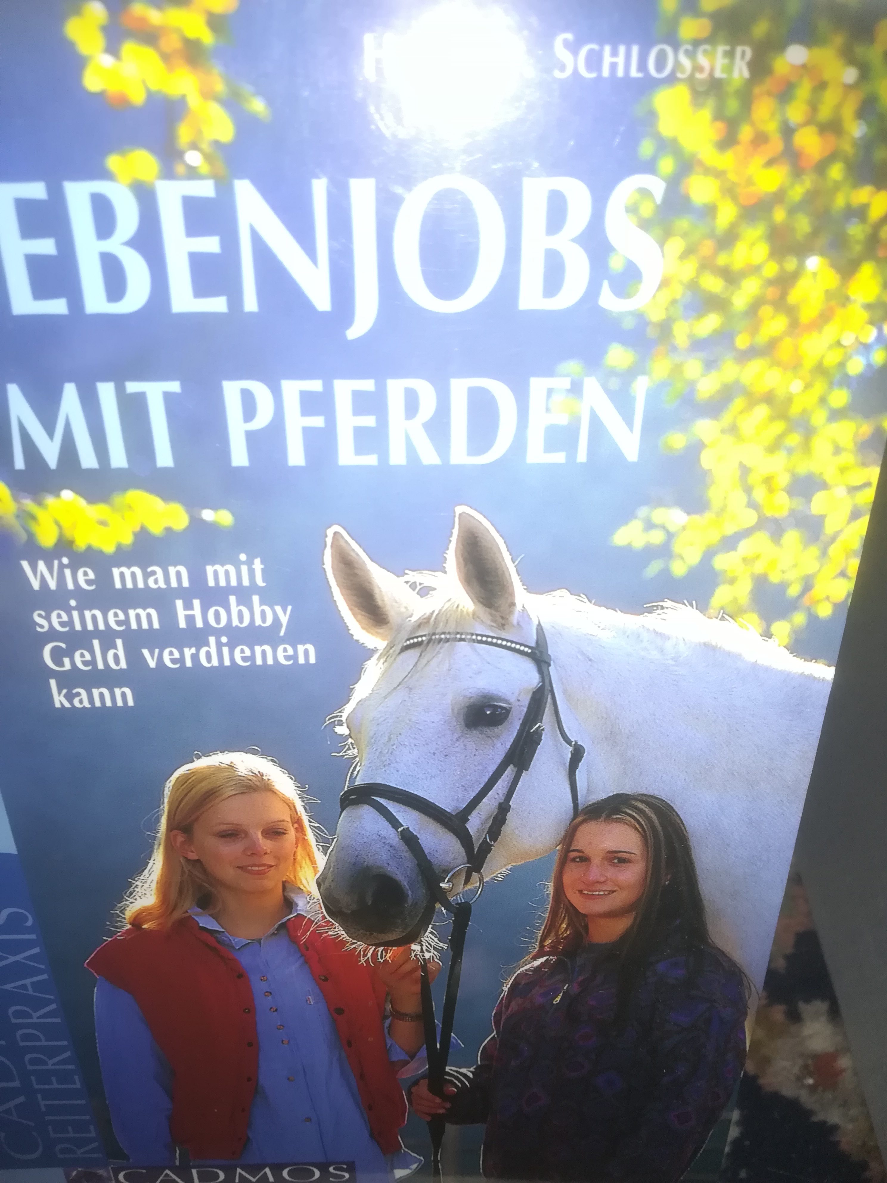 Nebenjobs mit Pferden, wie man mit seinem Hobby Geld verdienen kann - Schlosser Heidi D.