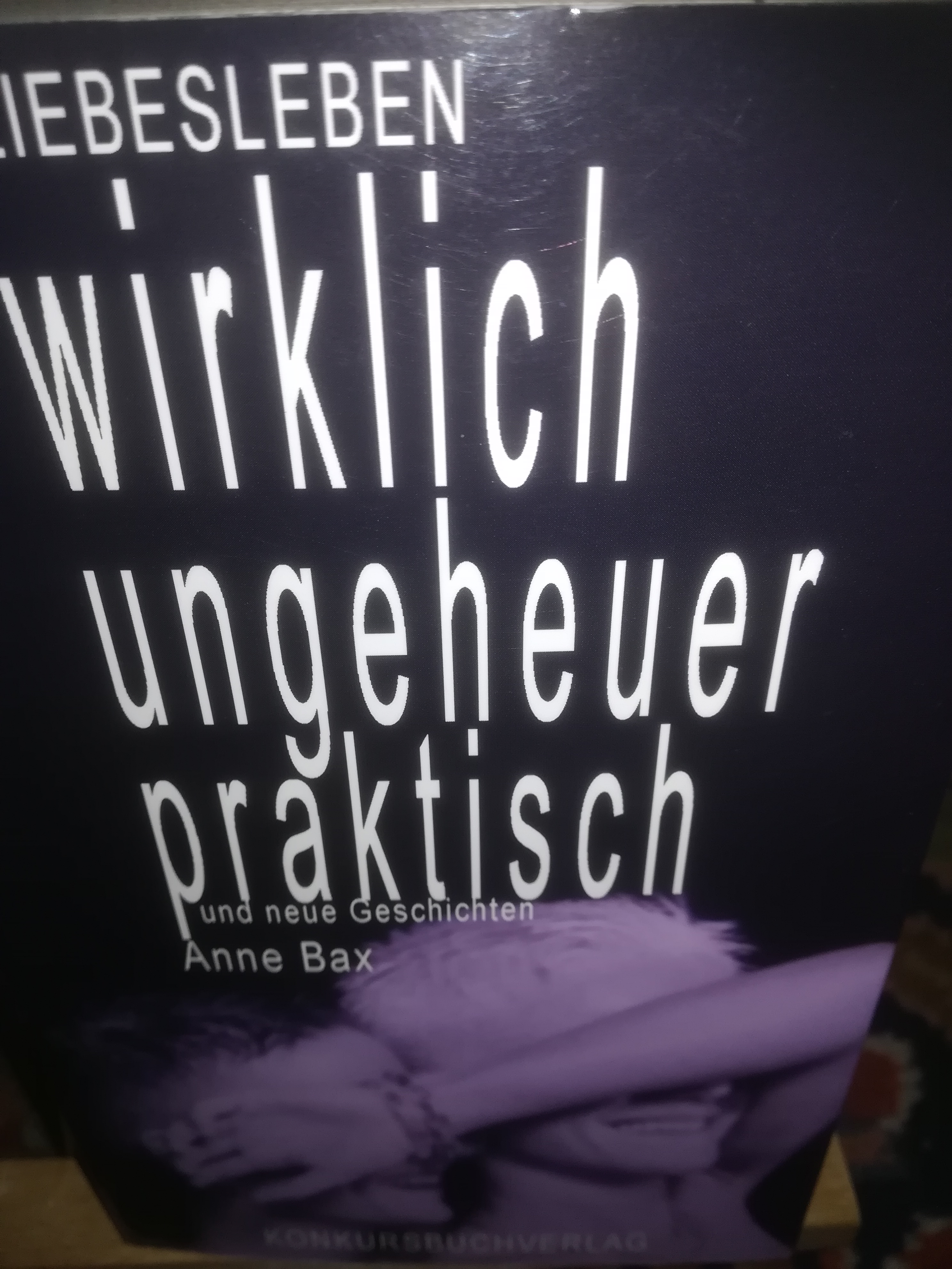 Liebesleben wirklich ungeheuer praktisch und andere Geschichten - Bax Anne