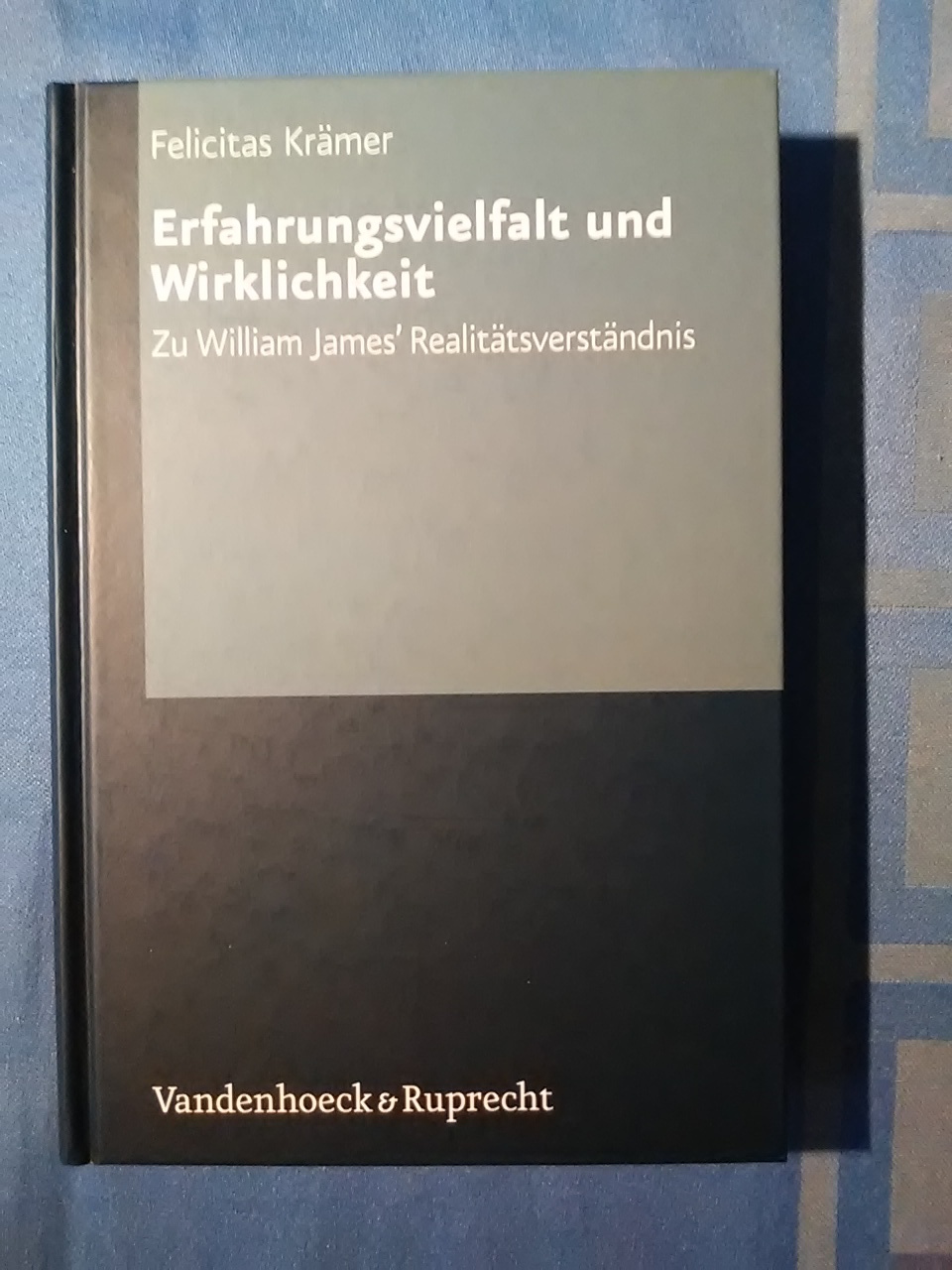 Erfahrungsvielfalt und Wirklichkeit : zu William James' Realitätsverständnis. Neue Studien zur Philosophie ; Bd. 19. - Krämer, Felicitas.