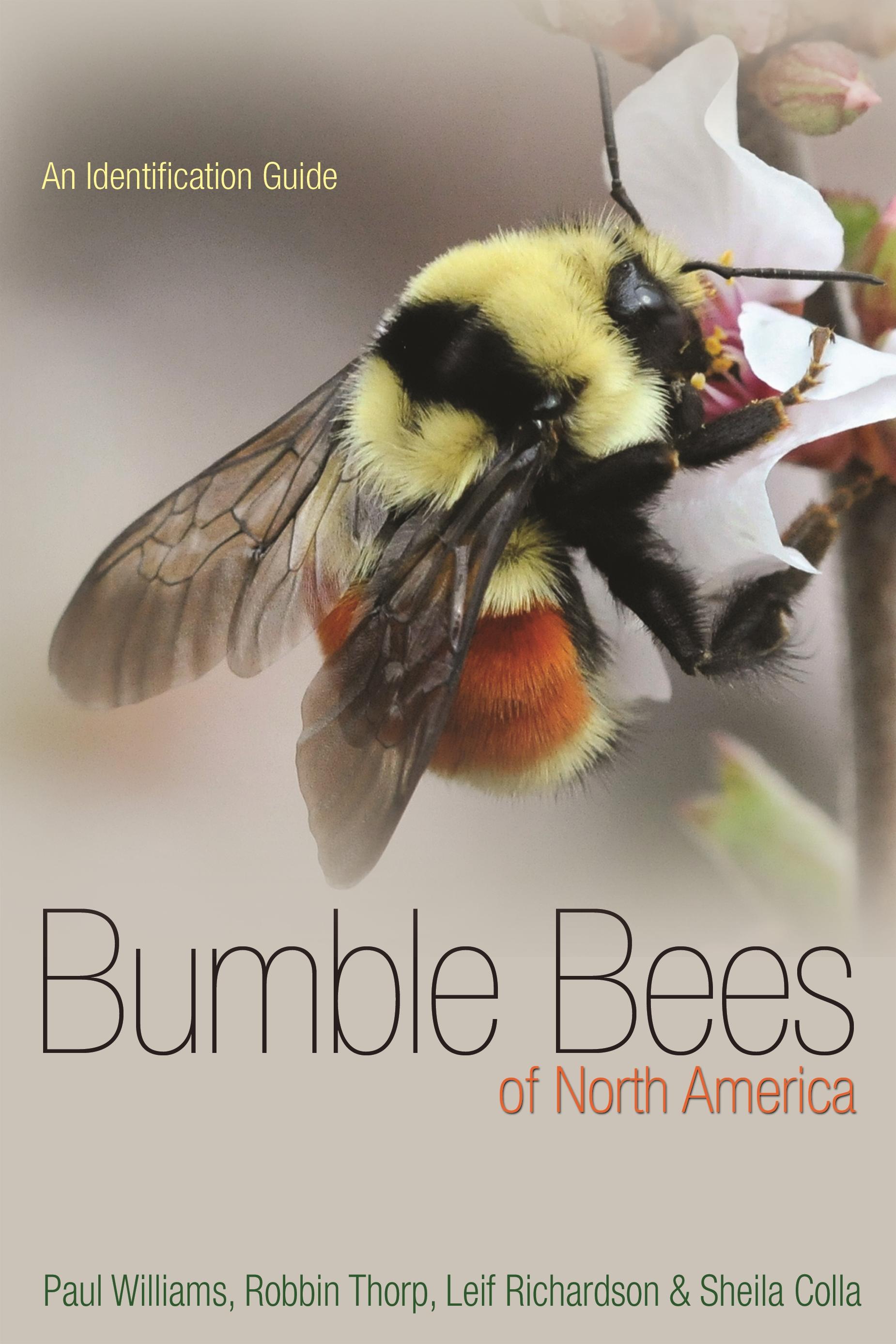 Bumble Bees of North America: An Identification Guide - Williams, Paul H.|Thorp, Robbin W|Richardson, Leif