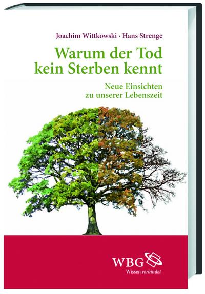 Warum der Tod kein Sterben kennt - Joachim Wittkowski