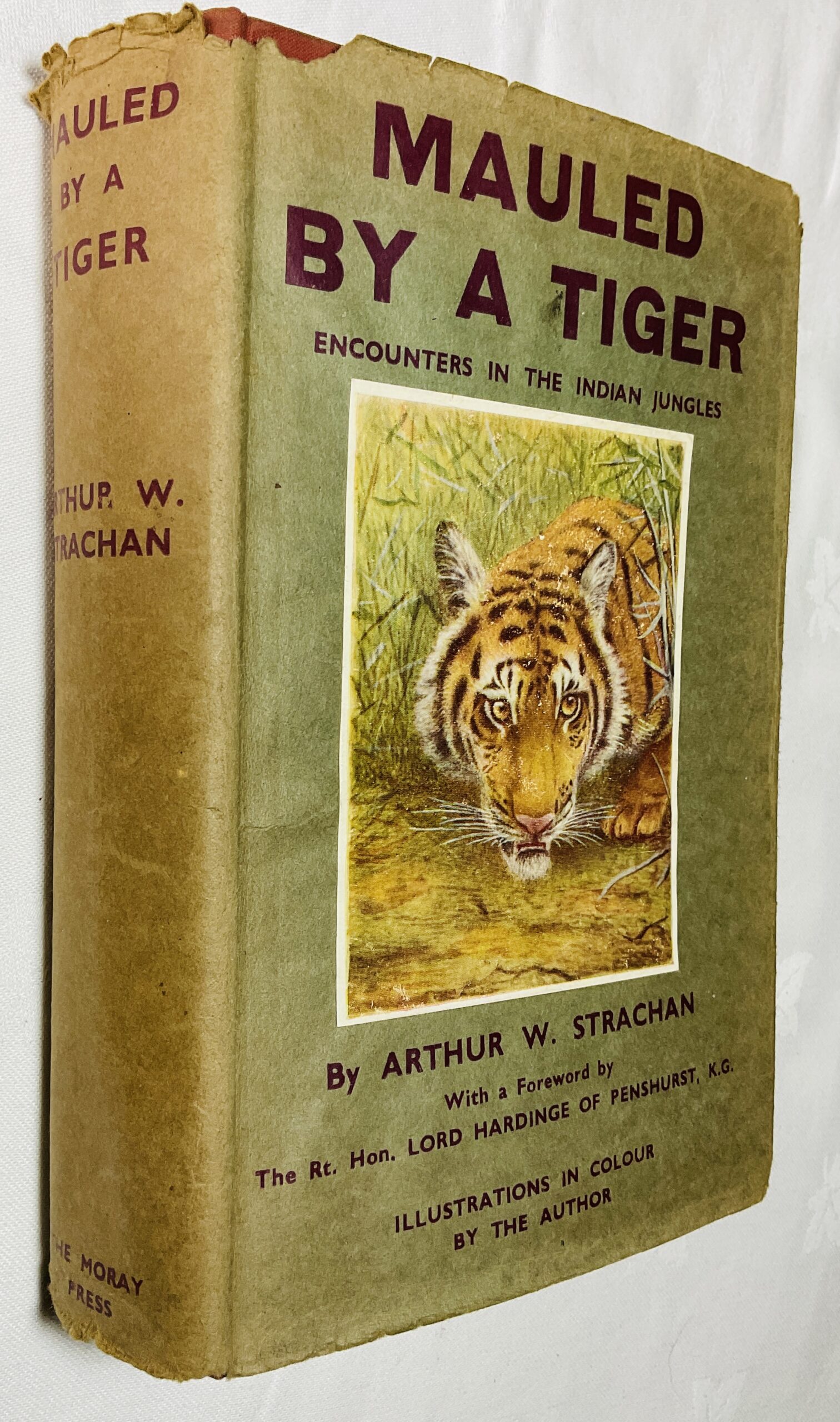 The Tiger Encounter