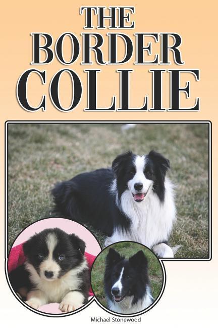 The Border Collie: A Complete and Comprehensive Owners Guide To: Buying, Owning, Health, Grooming, Training, Obedience, Understanding and - Stonewood, Michael