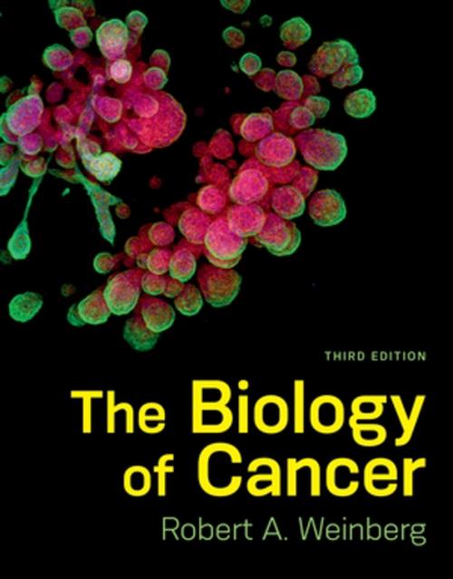 The Biology of Cancer (Paperback) - Robert A. Weinberg