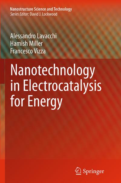 Nanotechnology in Electrocatalysis for Energy - Alessandro Lavacchi