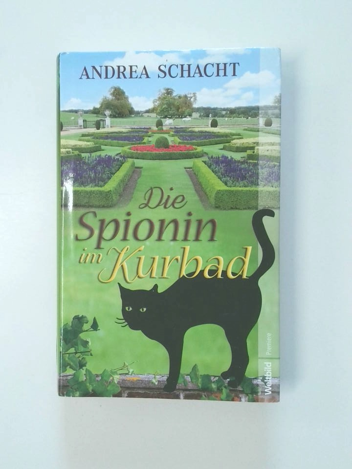 Die Spionin im Kurbad Roman - Andrea Schacht