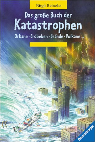 Das große Buch der Katastrophen - Reineke, Birgit und Dagmar Sananikone