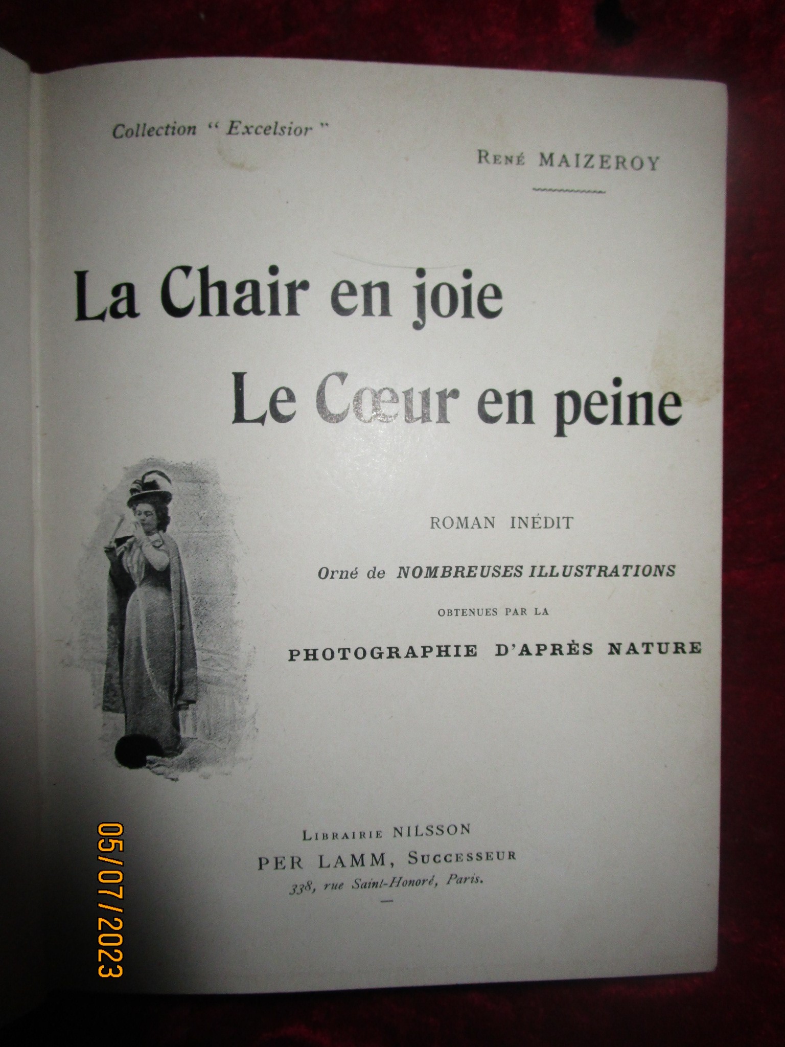 Livre : La chair en joie Le coeur en peine (René Maizeroy) 