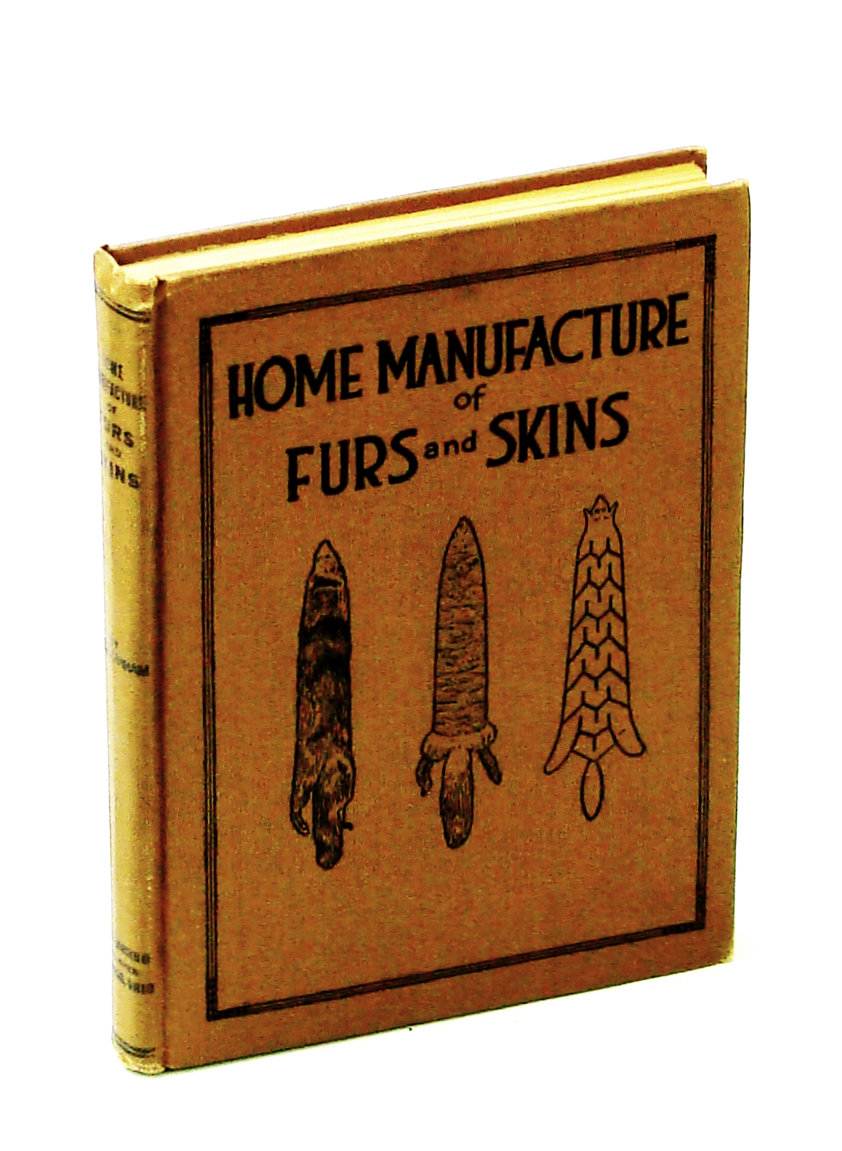 FIRST EDITION - Home