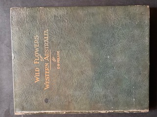 Wild Flowers of Western Australia Pelloe, E.H. [Good] [Hardcover]