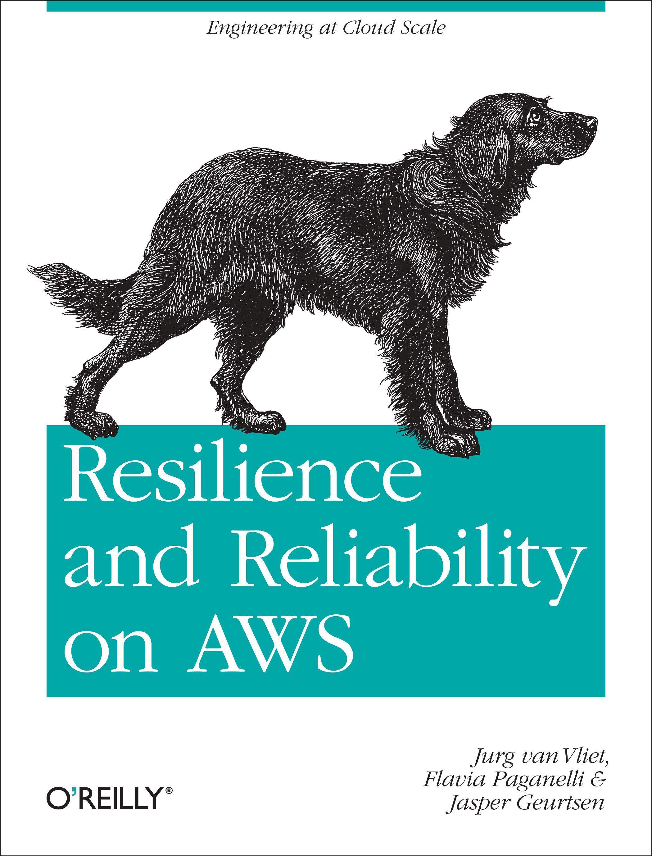 Resilience and Reliability on AWS - Vliet, Jurg van|Paganelli, Flavia|Geurtsen, Jasper