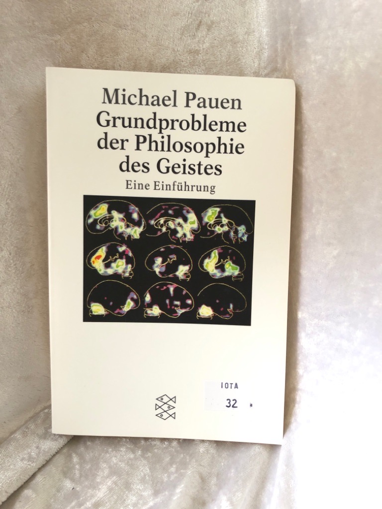 Grundprobleme der Philosophie des Geistes: Eine Einführung - Pauen, Michael