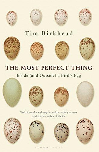 The Most Perfect Thing: Inside (and Outside) a Birdâ€™s Egg - Birkhead, Tim