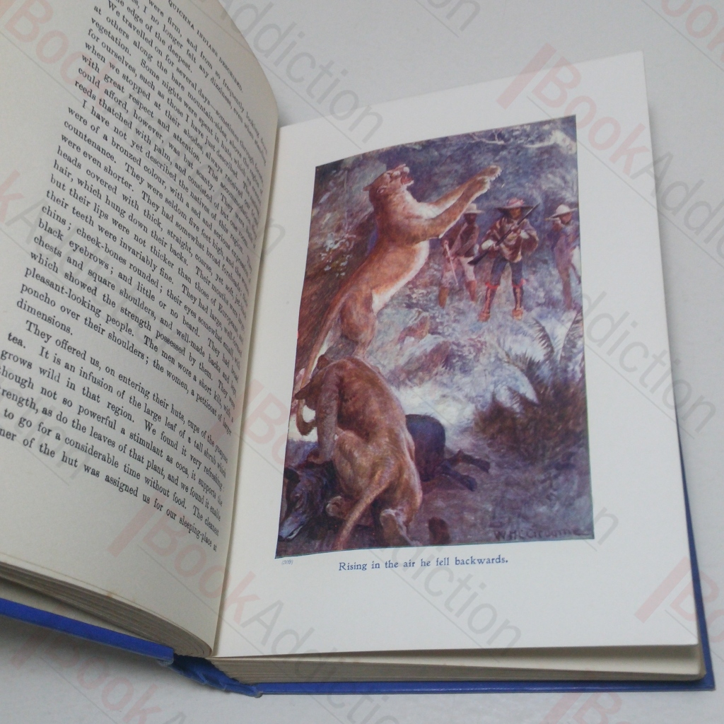 On the Banks of the Amazon Kingston, W H G [Assez bon] [Couverture rigide]