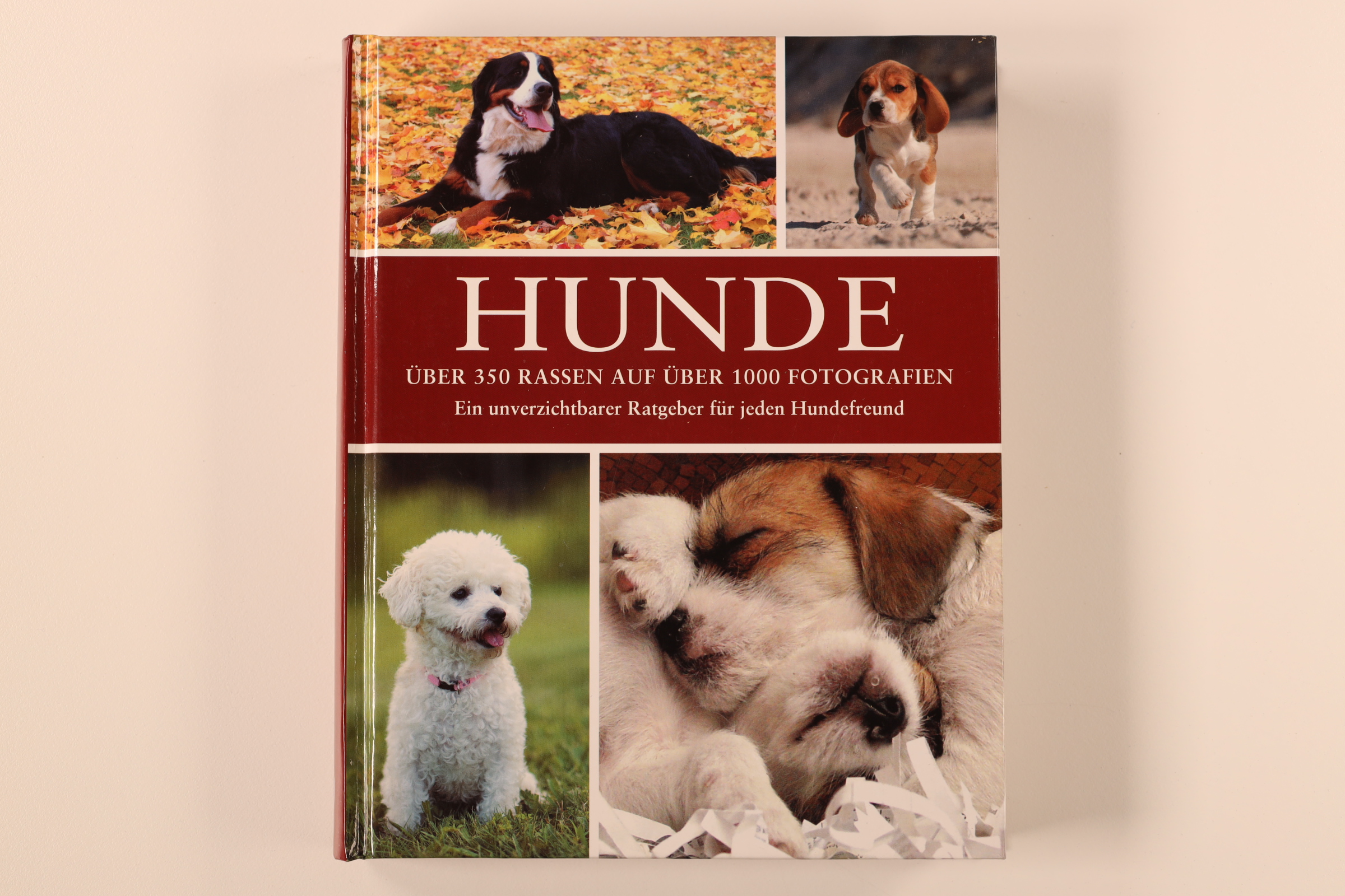 HUNDE. Rassen, Pflege, Geschichte - David Alderton