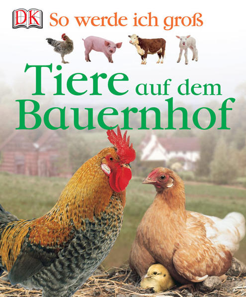 Tiere auf dem Bauernhof - Magloff, Lisa