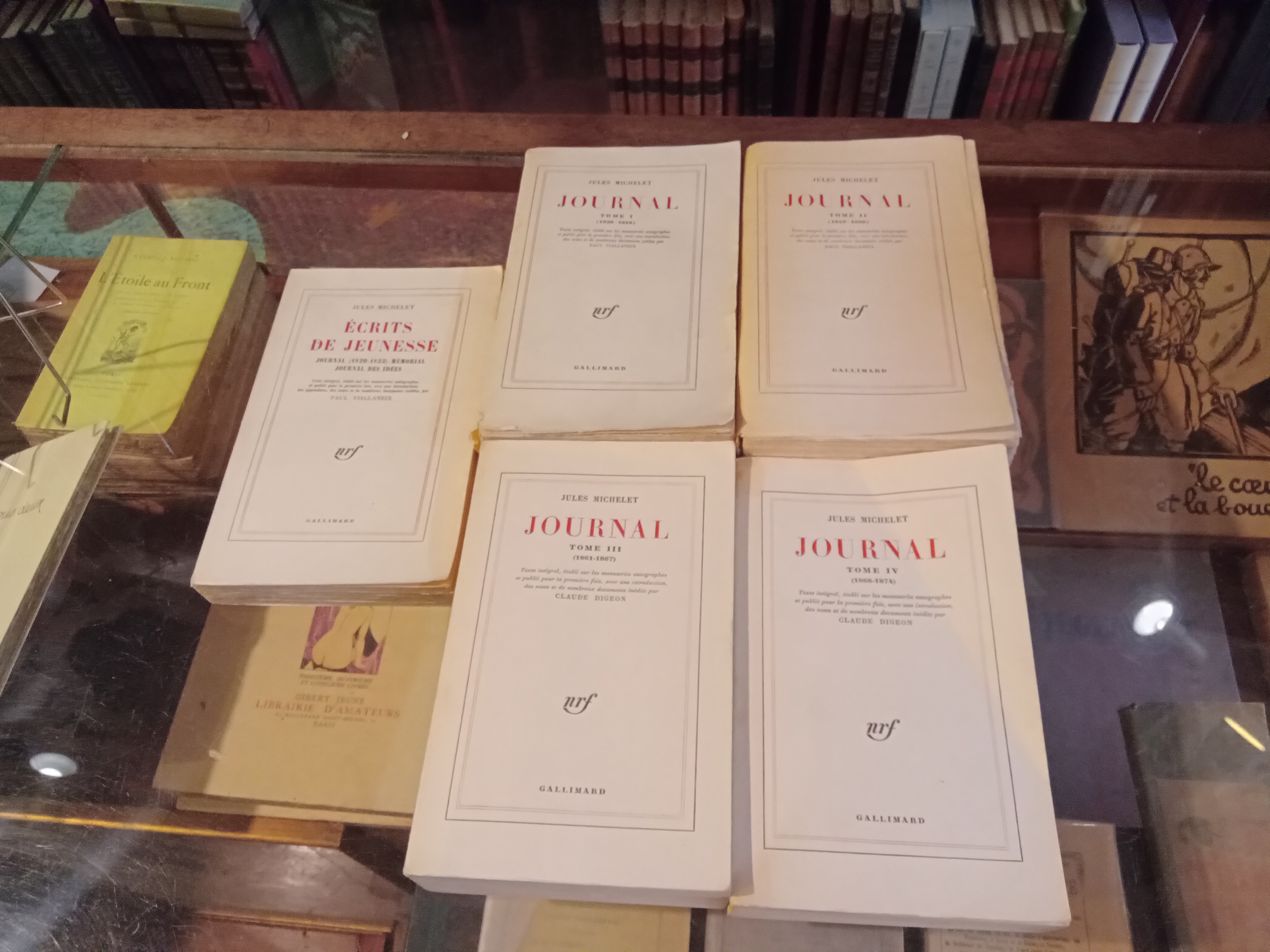 Journal + Ecrits de jeunesse MICHELET Jules [Occasion - Bon] [Couverture souple]