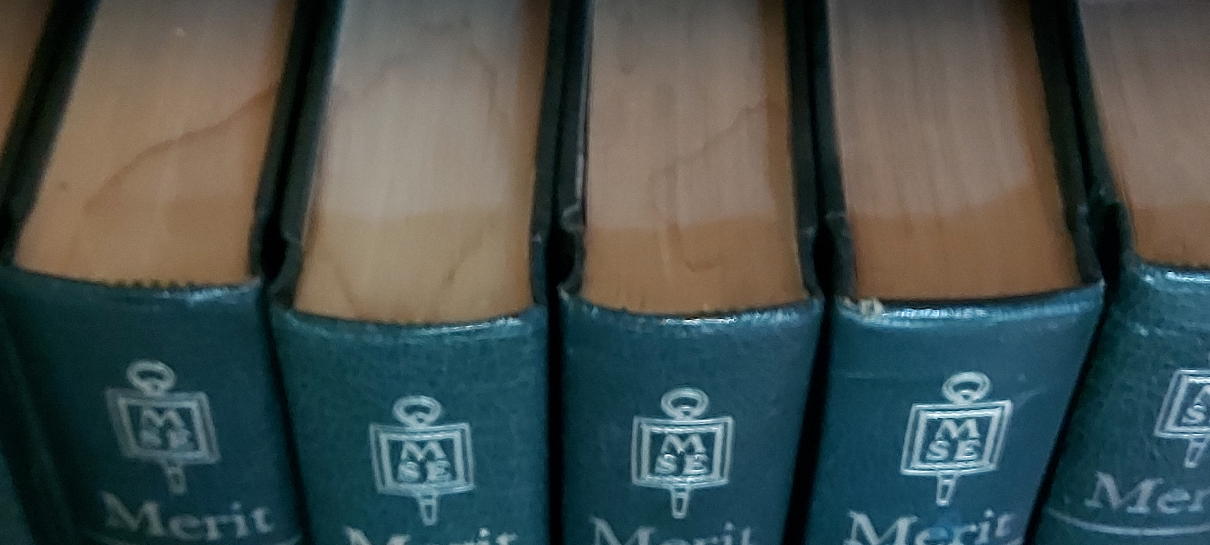 Merit Students Encyclopedia Set - 20 Volumes by Various