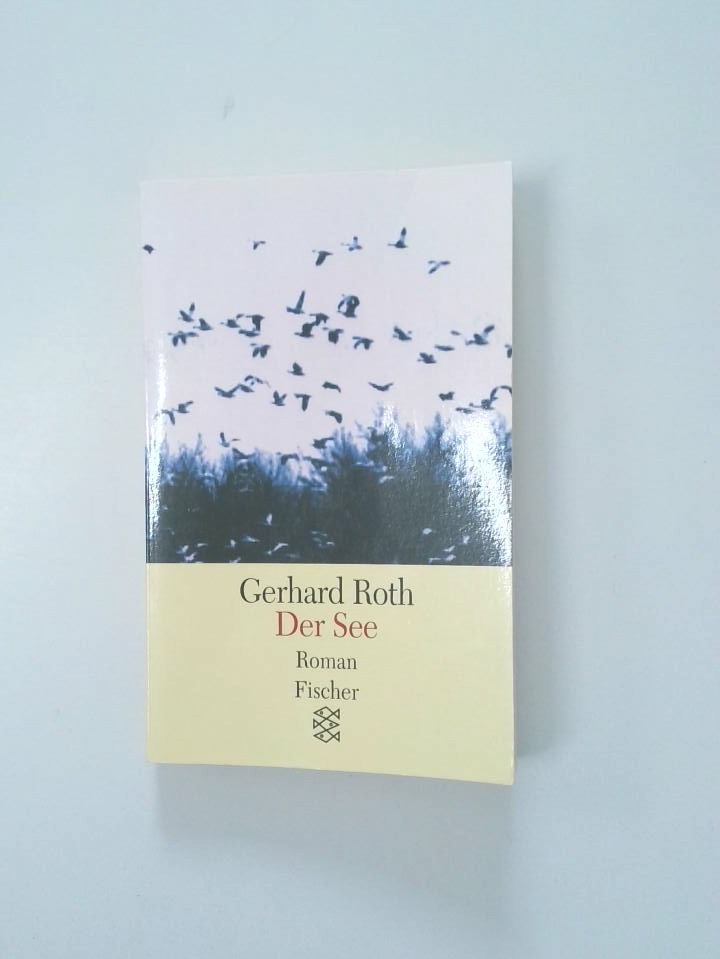 Der See Roman - Roth, Gerhard