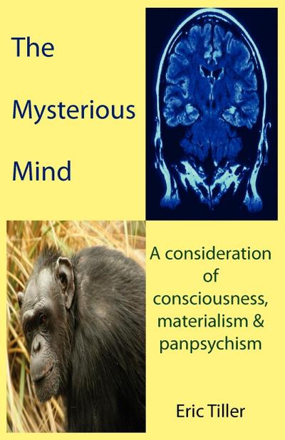 The Mysterious Mind : A consideration of consciousness, materialism & panpsychism - Eric Tiller