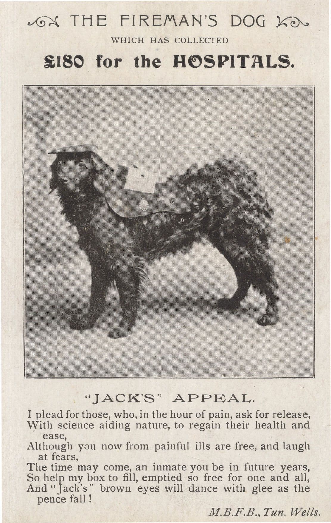 The Fireman's Dog Jacks Hospital Appeal Antique WW1 Postcard [Fine]
