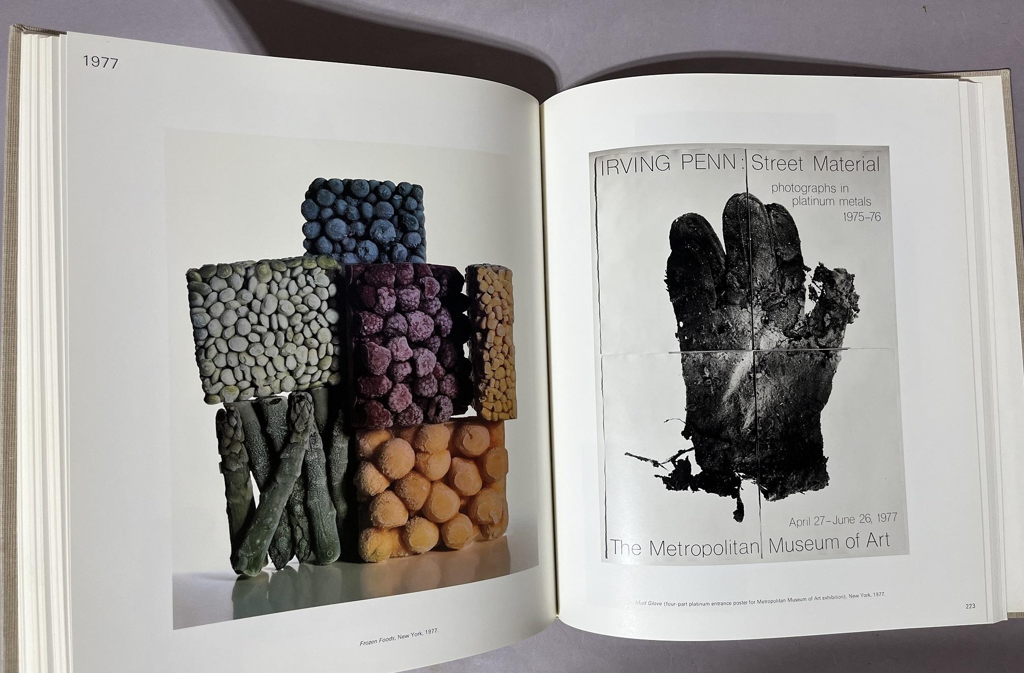 Passage: A Work Record by Penn, Irving: Fine Cloth (1991 Passage: A Work Record by Penn, Irving: Fine Cloth (1991