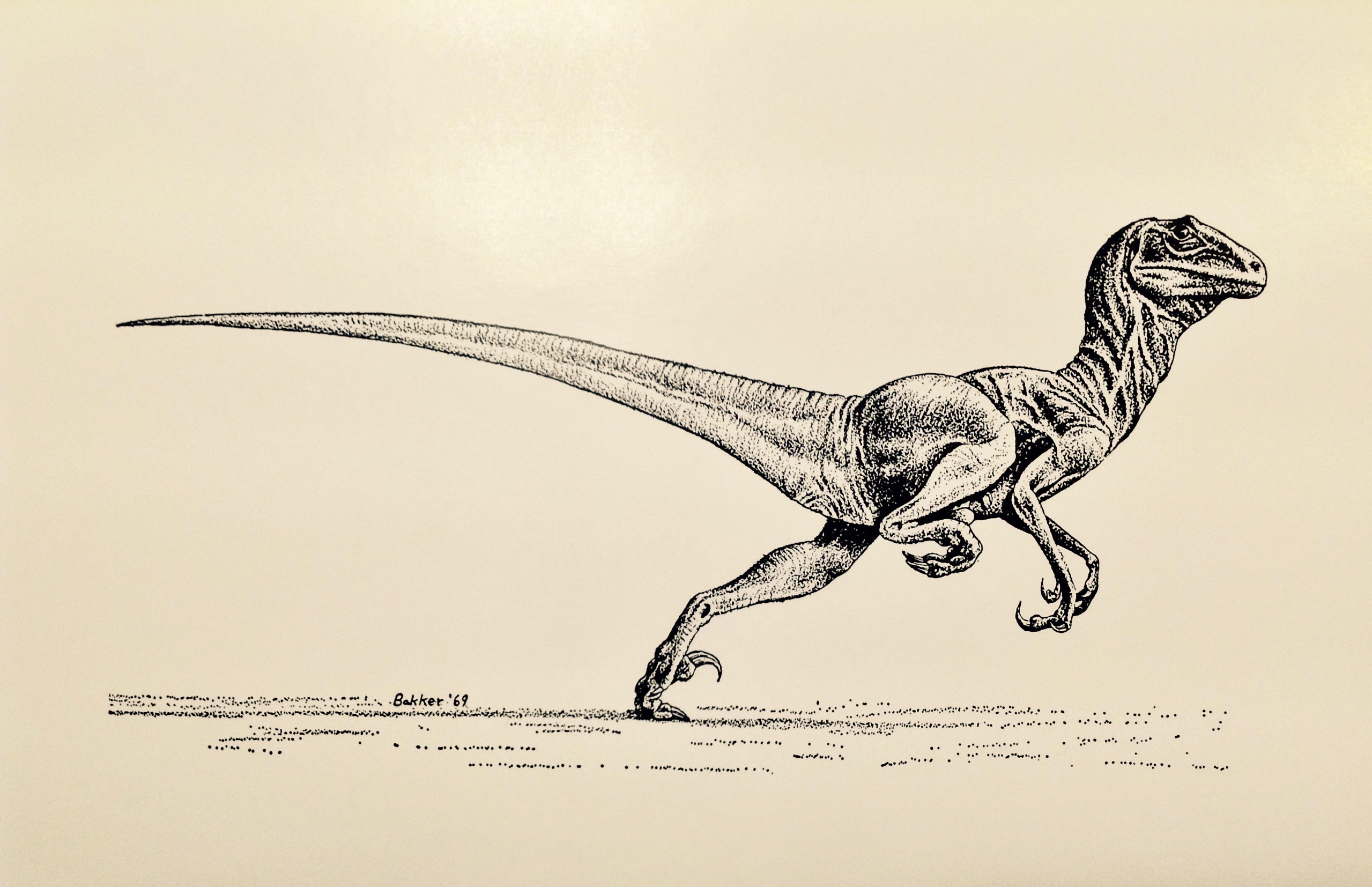 An Ultimate Guide to Deinonychus: The Terrible Claw - Gage Beasley  Prehistoric