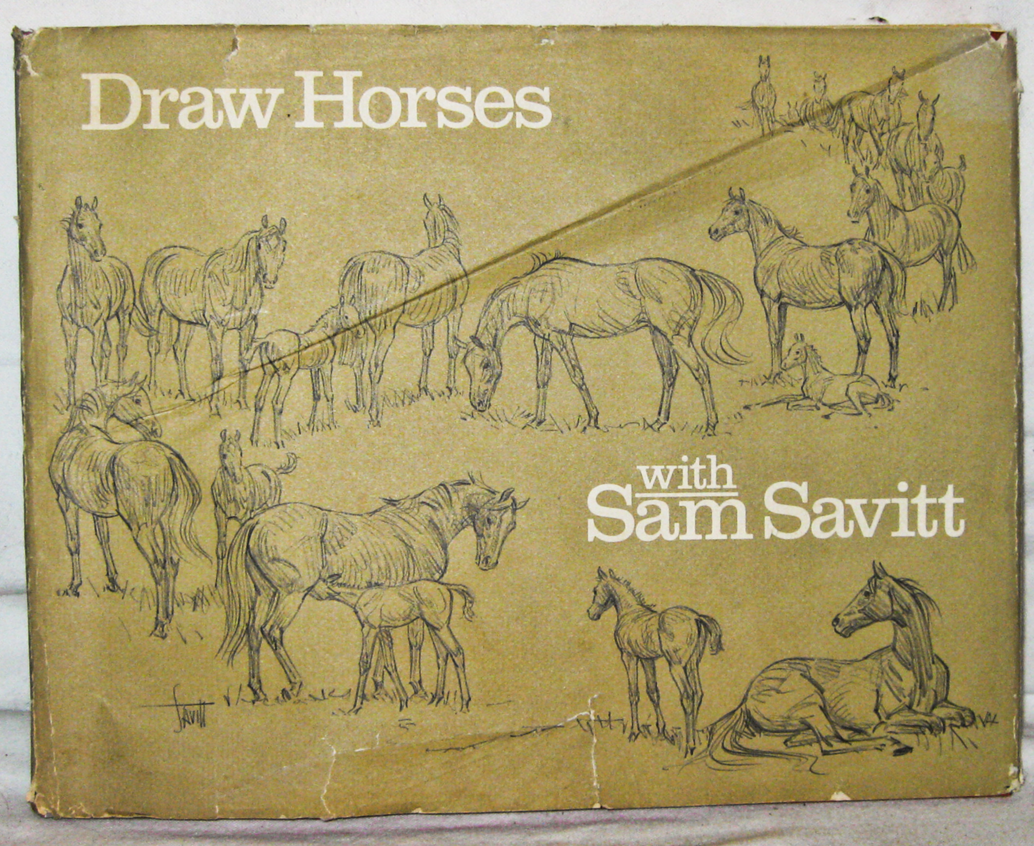 【レビューで送料無料】 Draw Good Very Sam: Savitt, by Savitt Sam with Horses 洋書