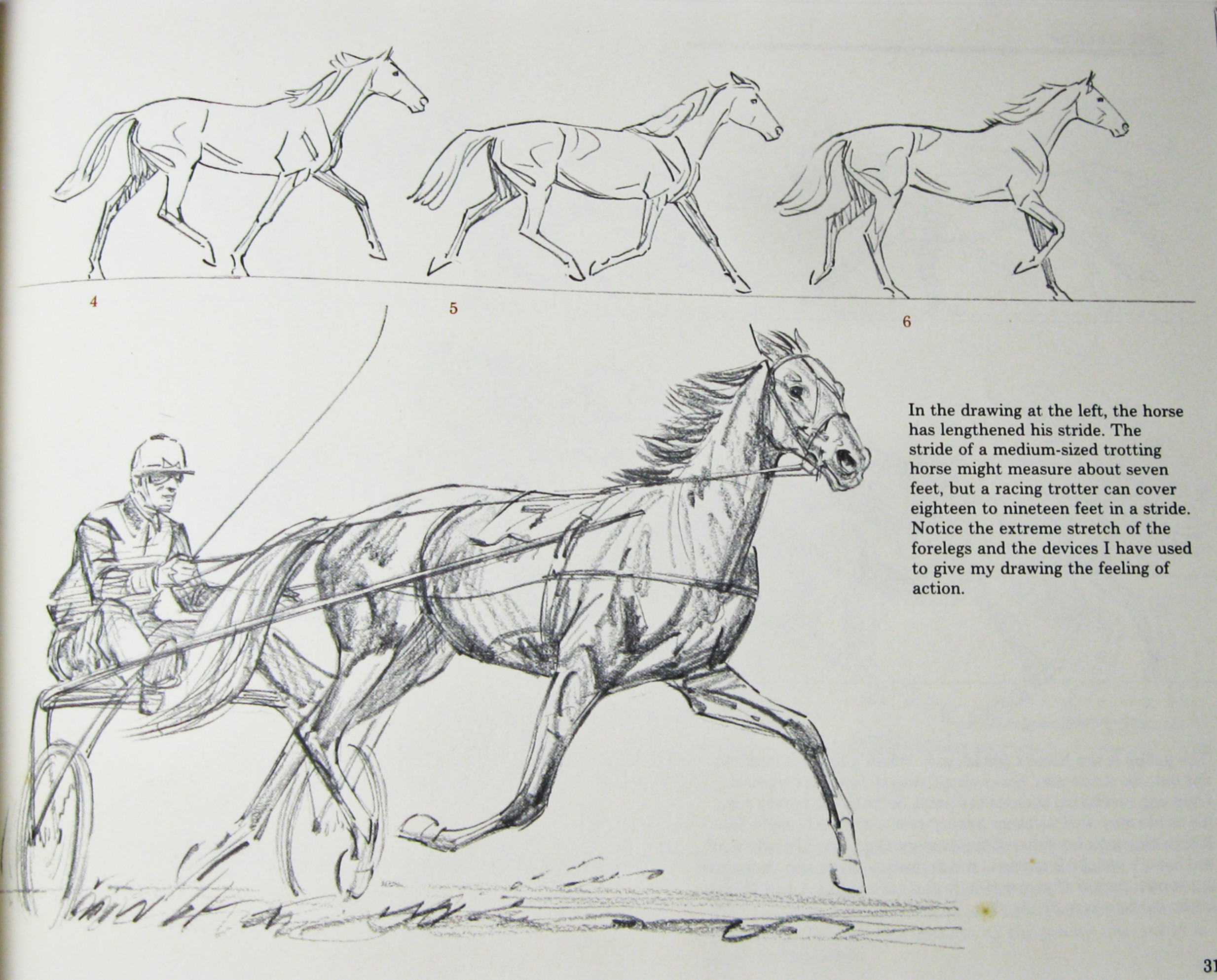 Draw Horses with Sam Savitt by Savitt, Sam: Very Good