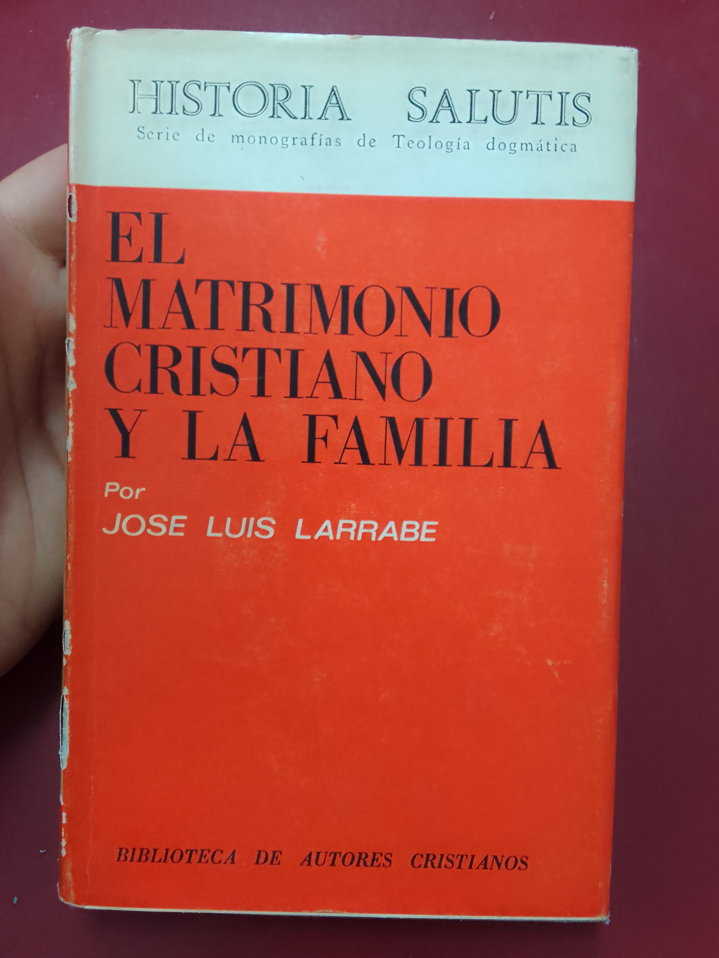 El matrimonio cristiano y la familia - José Luis Larrabe