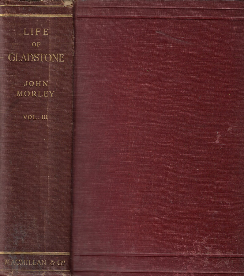 The life of William Ewart Gladstone Vol. III (1880-1898) - John Morley