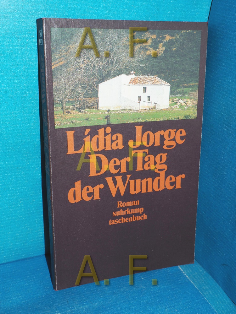 Der Tag der Wunder : Roman (Suhrkamp Taschenbuch 1930) - Jorge, Lídia