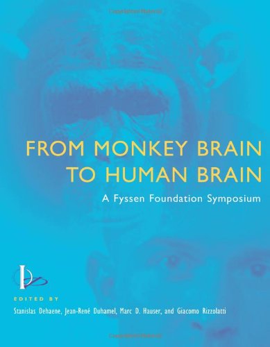 From Monkey Brain to Human Brain â€“ A Symposium of the Fyssen Foundation: A Fyssen Foundation Symposium - Dehaene, Stanislas