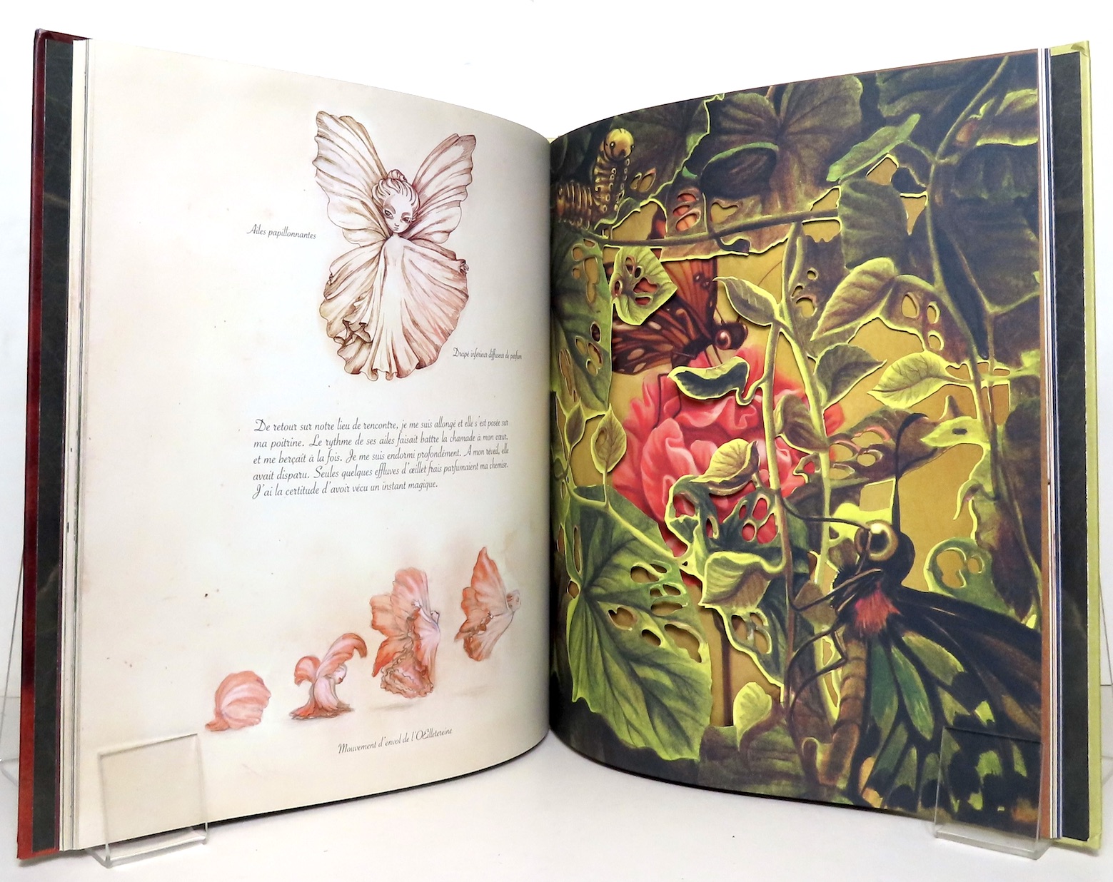 L'herbier des fées. Lacombe Benjamin, Perez Sébastien: [Très bon] [Couverture rigide]