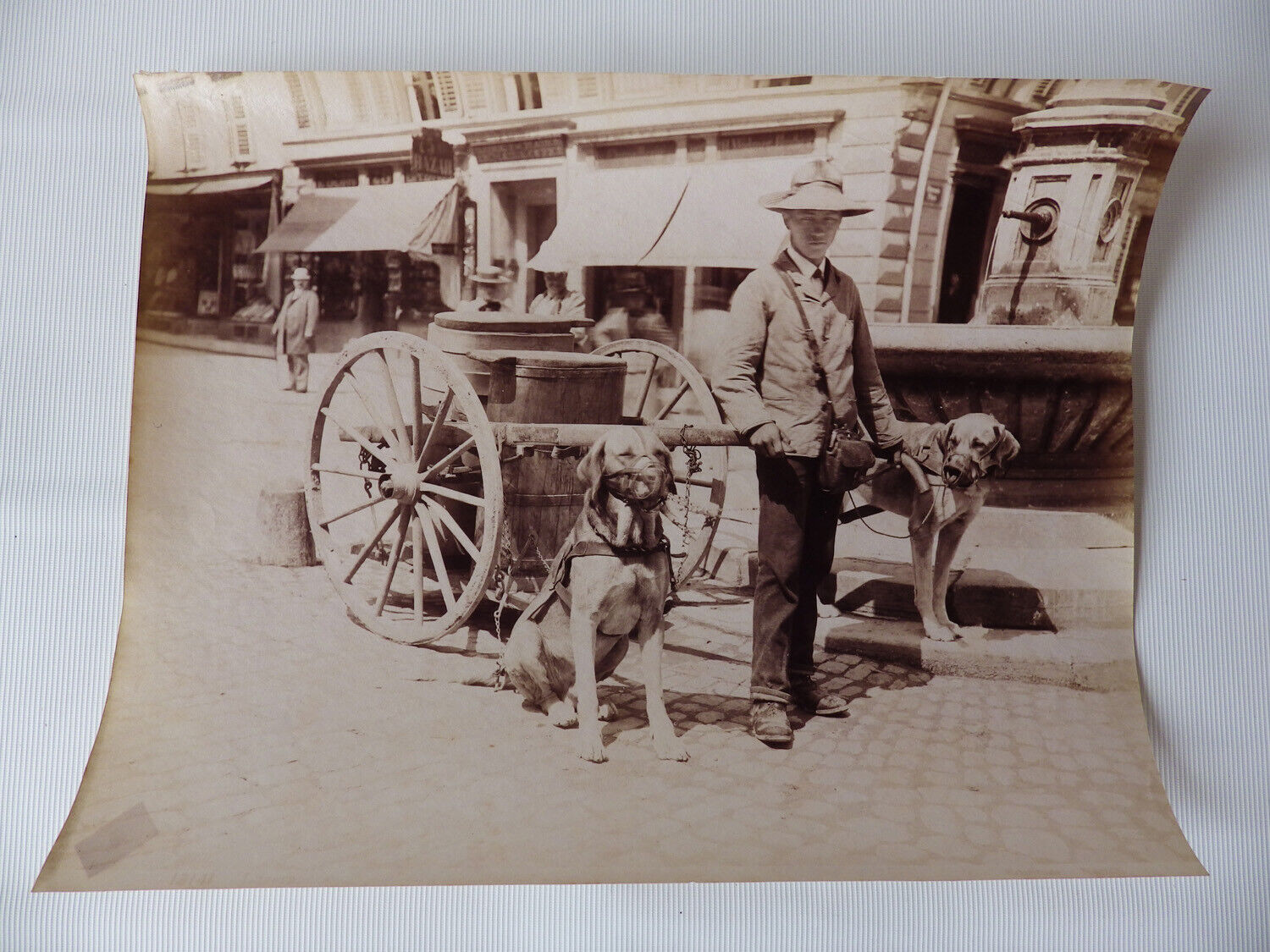 Milkman with Dog Cart. Circa 1880 antique albumen print photograph by Giorgio Sommer. [Very Good]