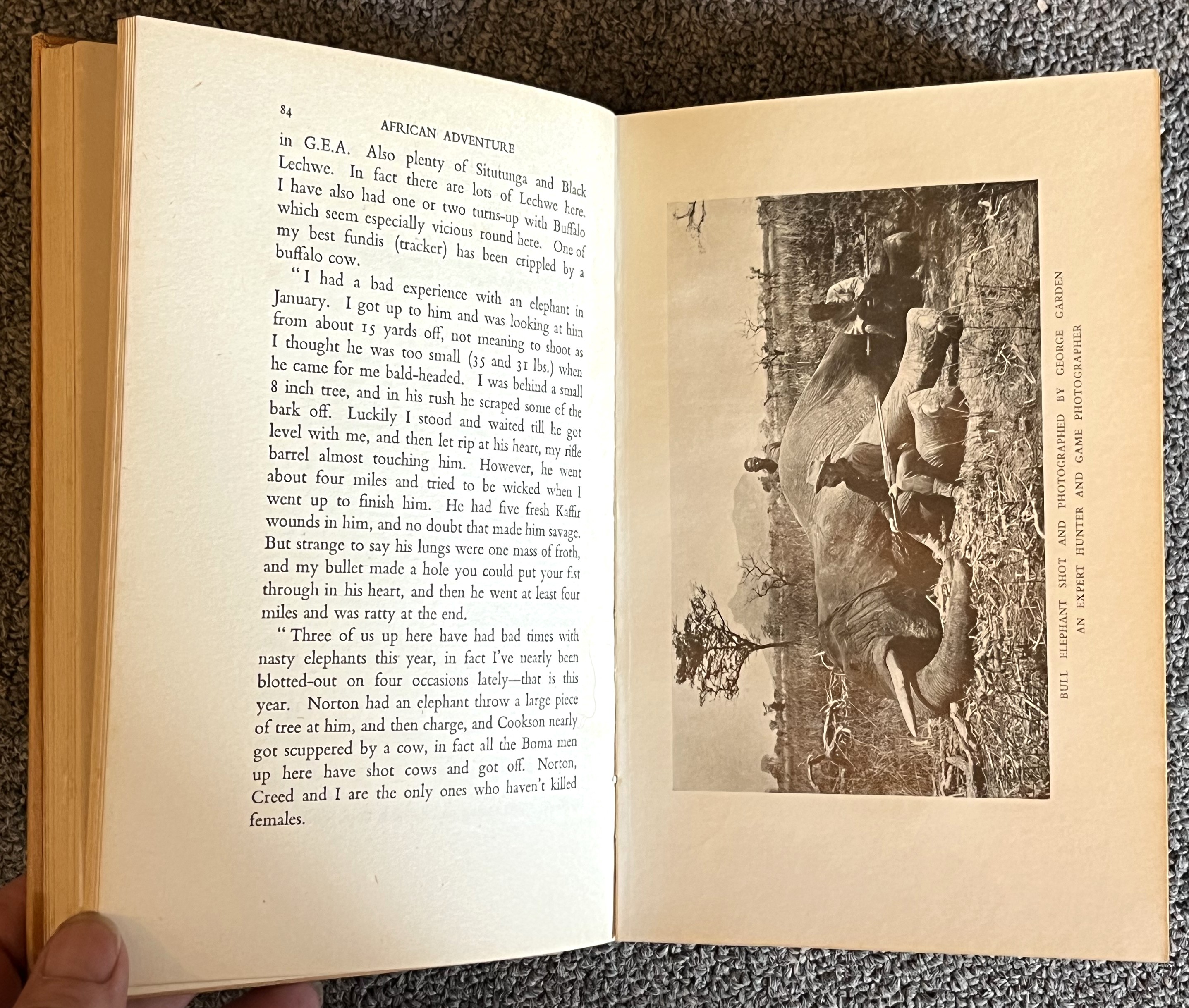 african-adventure-letters-from-famous-big-game-hunters-by-lyell-denis