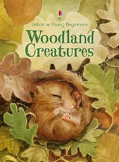 Woodland Creatures - Emily Bone