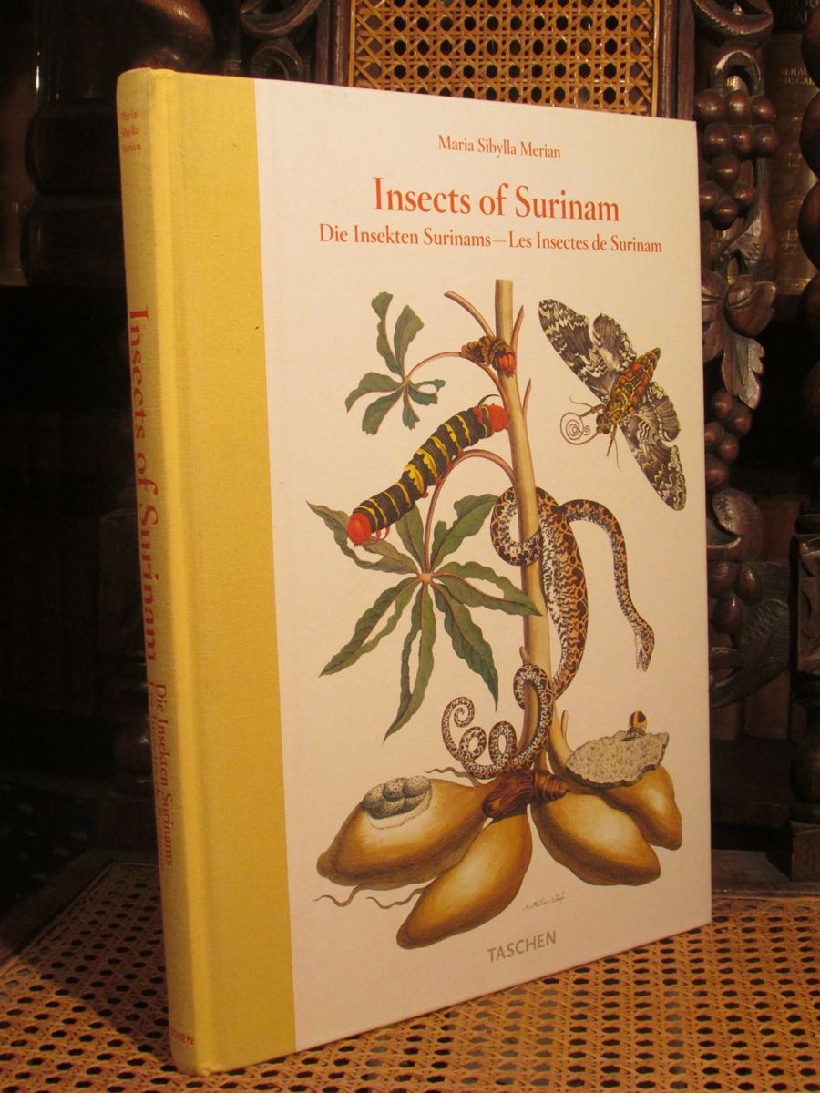 Die Insekten Surinams - Insects of Surinam - Les Insectes de Surinam. Metamorphosis Insectorum Surinamensium. 1705. - Merian, Maria Sybilla