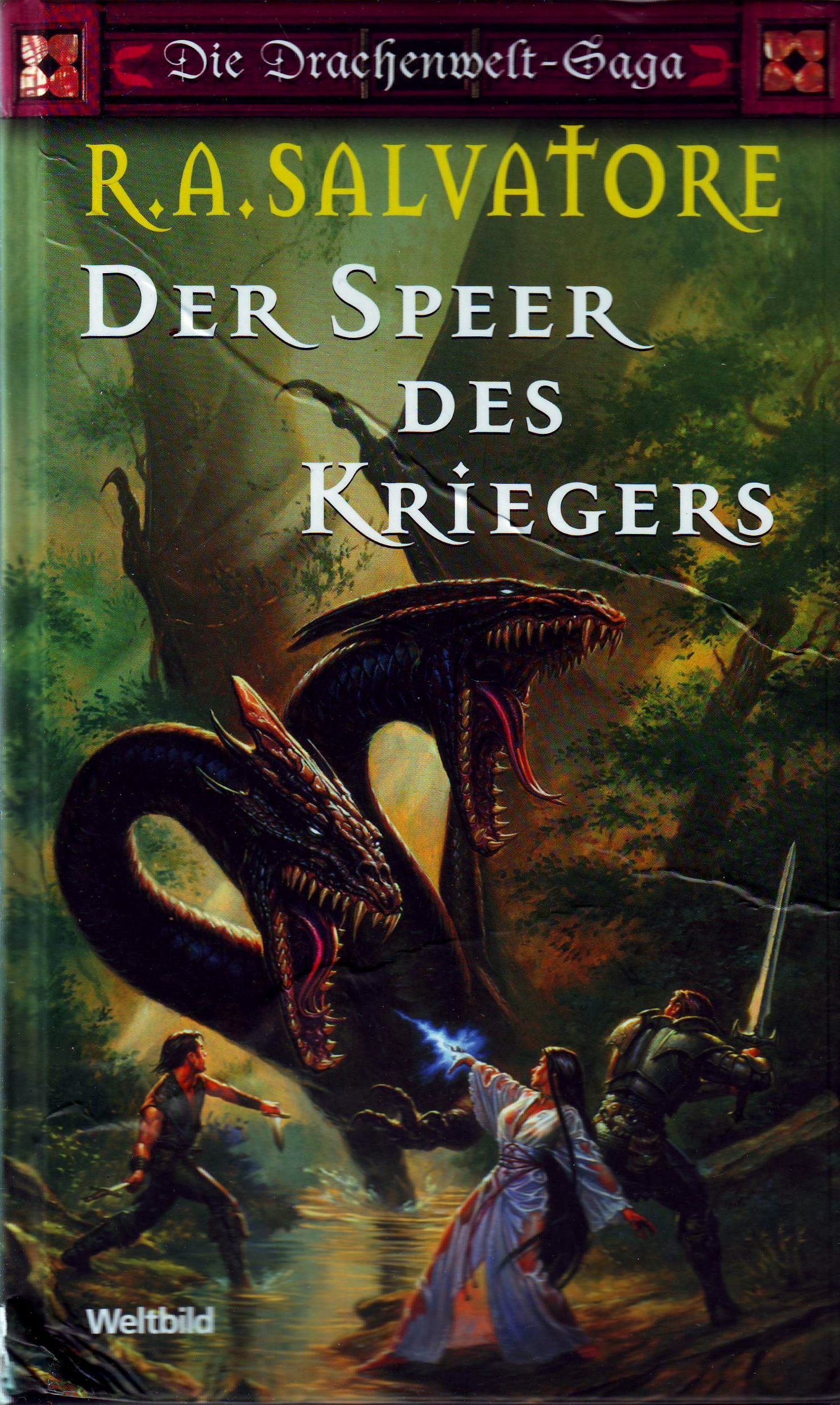 Die Drachenwelt-Saga - Der Speer des Kriegers Bd. 1. Der Speer des Kriegers - Salvatore, Robert A.