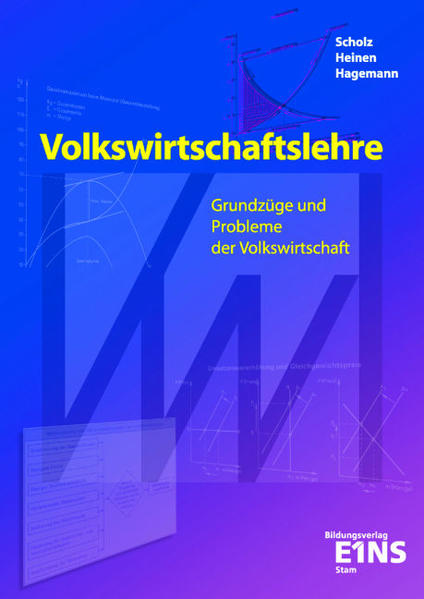 Volkswirtschaftslehre: Grundzüge und Probleme der Volkswirtschaft Lehr-/Fachbuch - Scholz, Hans