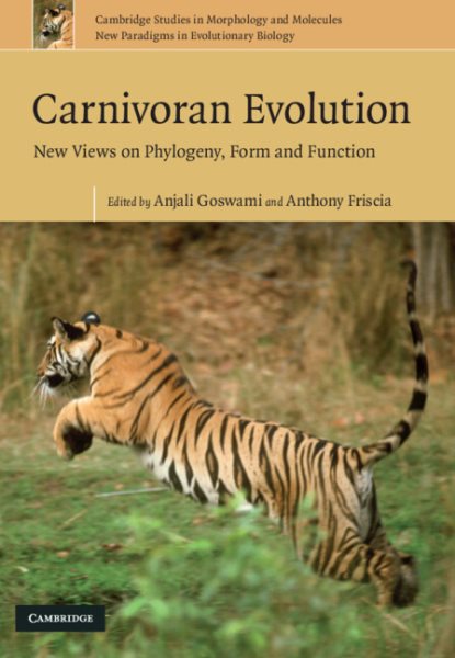 Carnivoran Evolution : New Views on Phylogeny, Form and Function - Goswami, Anjali (EDT); Friscia, Anthony (EDT)
