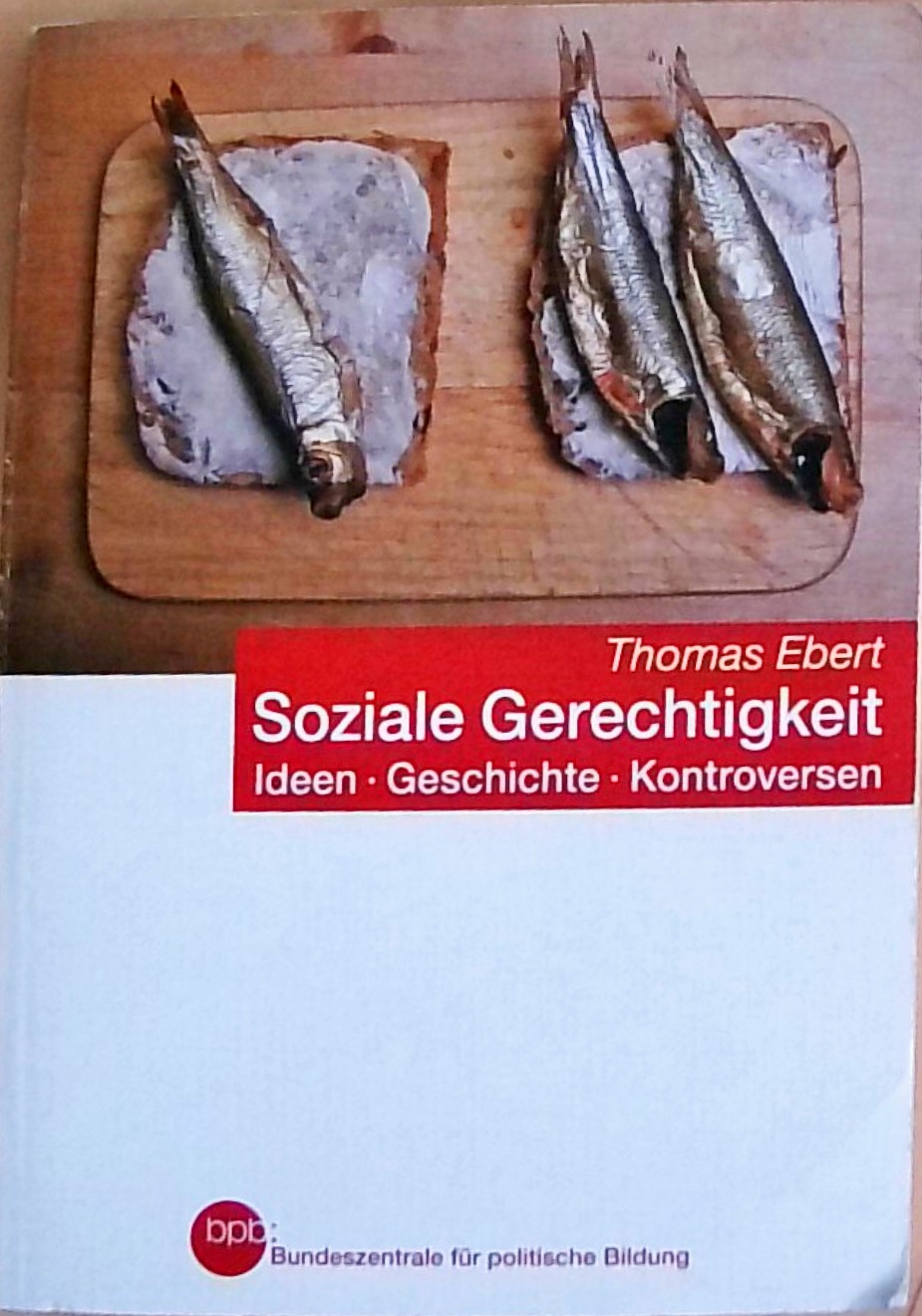 Soziale Gerechtigkeit. Ideen, Geschichte, Kontroversen