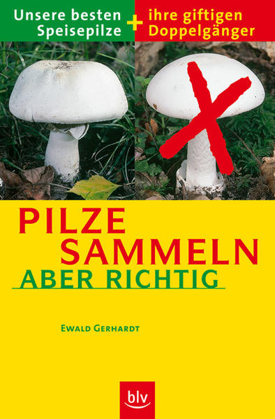 Pilze sammeln – aber richtig: Unsere besten Speisepilze und ihre giftigen Doppelgänger - Gerhardt, Ewald